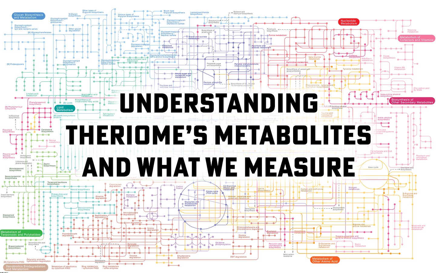 What metabolites does Theriome measure?