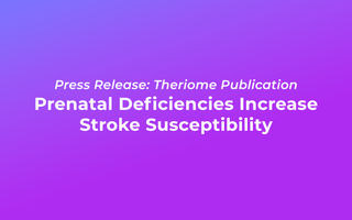 Prenatal Deficiency in Choline and Folic Acid Alters Offspring Gut and Brain Biochemistry, Increasing Stroke Susceptibility