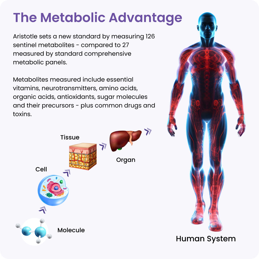 Metabolomic Test - Theriome's Aristotle